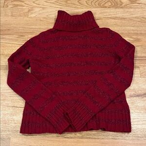 Express Red/Burgundy Striped Turtleneck Sweater
